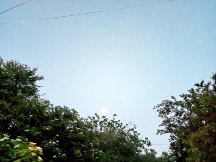 Spring, by night