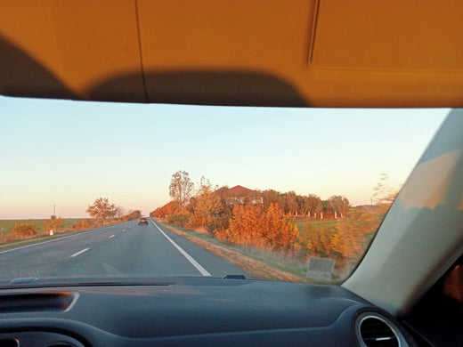 Autumn colors on the road