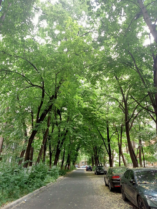 Fairytale street